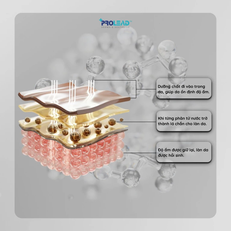 Post Cream – Giải pháp phục hồi da chuyên nghiệp cho Spa & Clinic